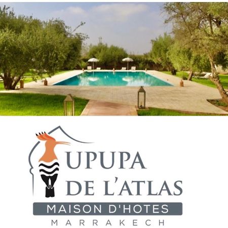 Upupa De L'Atlas Ouled el guerne エクステリア 写真