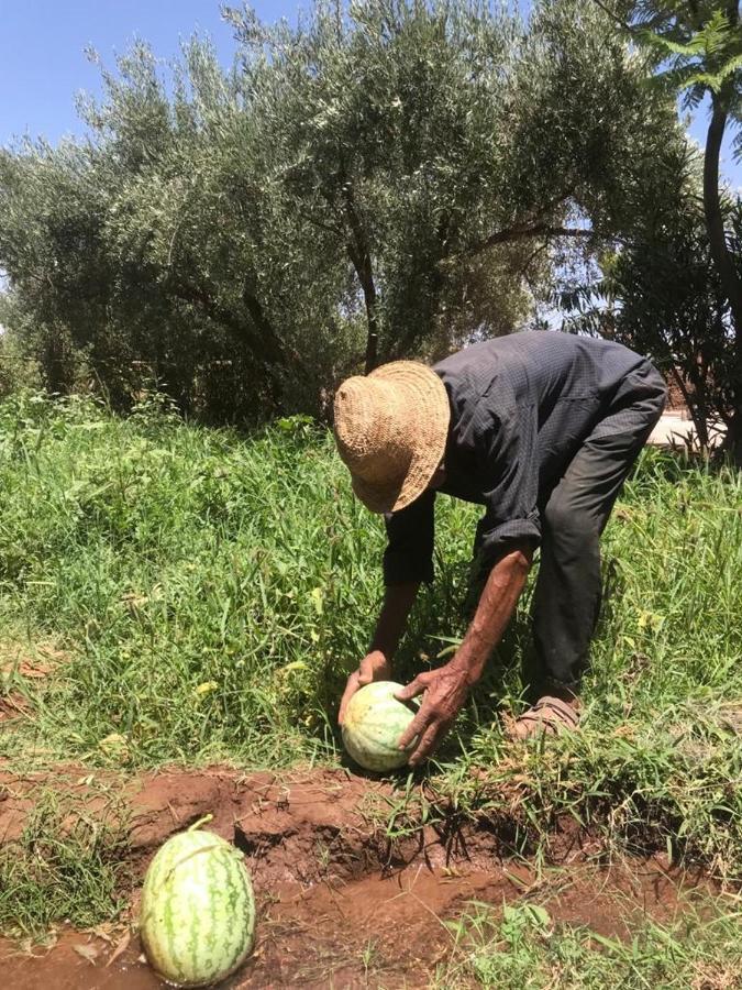 Upupa De L'Atlas Ouled el guerne エクステリア 写真