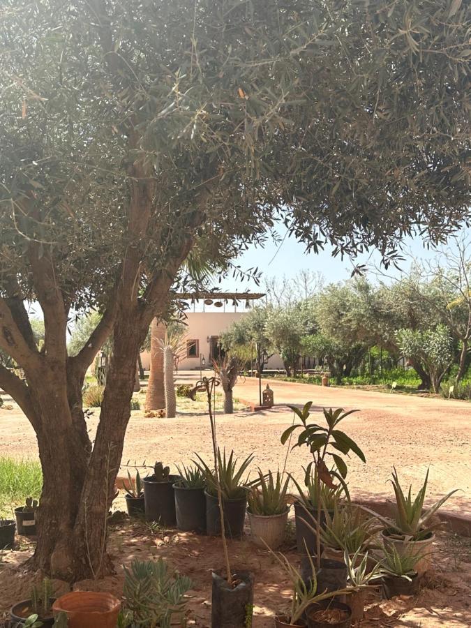 Upupa De L'Atlas Ouled el guerne エクステリア 写真